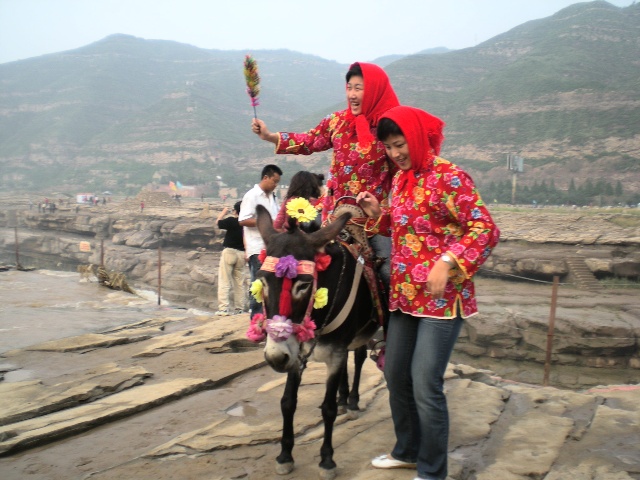 �������������� �˻���Ҳ��Ȼ��