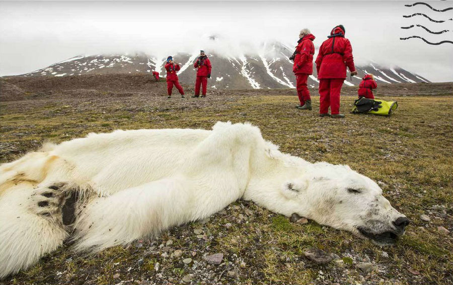 【年終盤點】十張圖告訴我們:2013我們經歷了哪些? 【年終盤點】十張圖告訴我們:2013我們經歷了哪些?