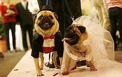 榆林周末歡樂集結號! 榆林周末歡樂集結號!