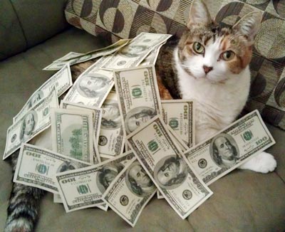 榆林周末歡樂集結號! 榆林周末歡樂集結號!