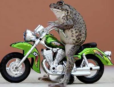 榆林周末歡樂集結號! 榆林周末歡樂集結號!