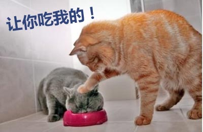 榆林周末歡樂集結號! 榆林周末歡樂集結號!