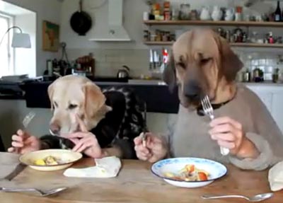 榆林周末歡樂集結號! 榆林周末歡樂集結號!