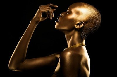 2014ʮ���������˜ʣ����������᣿