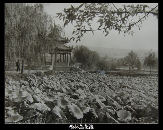 ���f�r�⡿��ȫ��������Ƭ