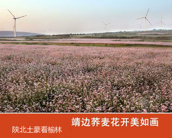 ����һ������