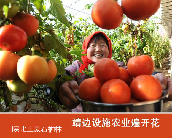 ����һ������