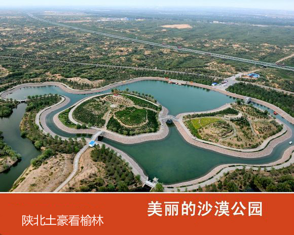 ����һ������