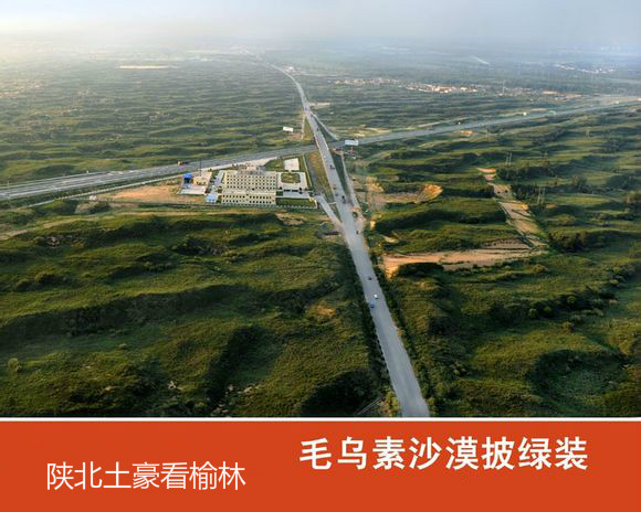 ����һ������