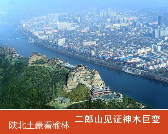 ����һ������