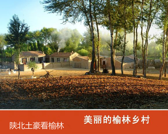 ����һ������