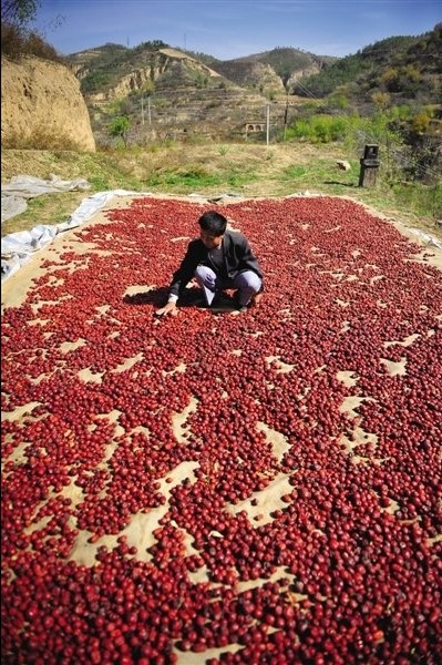 【大美榆林】舌尖上的榆林 【大美榆林】舌尖上的榆林