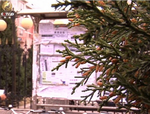 �����ľ���r���� �خa���Y��朔��ѱ�������