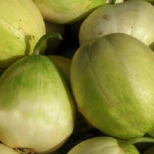 榆林市榆陽區芝麻香瓜